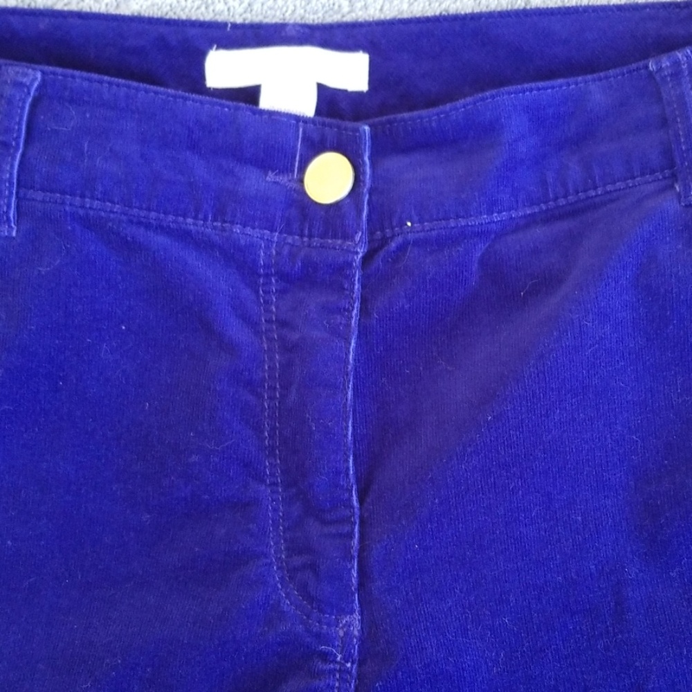 Chico's 2.5 electric blue stretch cords
